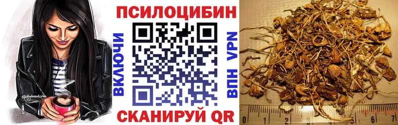 darknet наркотические препараты  сколько стоит  Йошкар-Ола  Псилоцибиновые грибы Magic Shrooms 